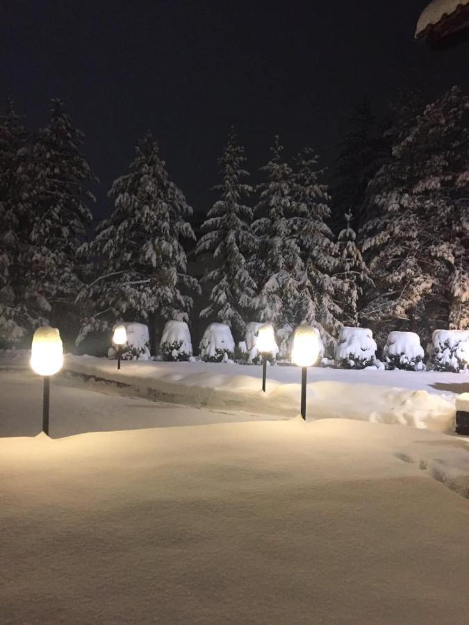 Apartmani Berghaus Zlatibor Bagian luar foto